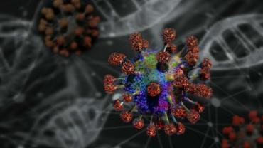 images7ccms-image-000008001-jpg-4-1024x768.jpg
