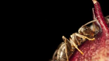 images7ccms-image-000009934-jpg-4-1024x768.jpg