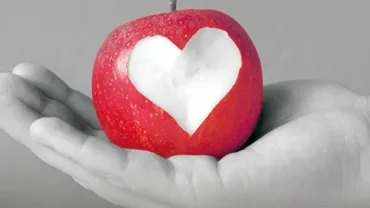 stophunger-1023x768-jpg.webp