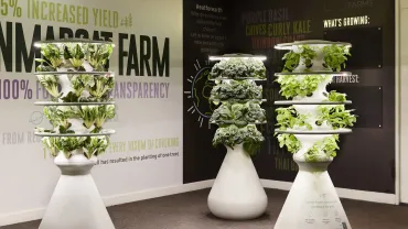smf_farm-stand_wall-graphics_1-jpg-webp.webp