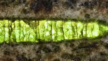 Kryptonite_clearly_50866150703-jpg-webp.webp