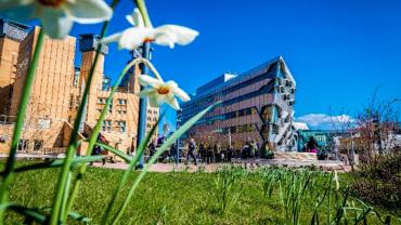 BUILDING_COV-EEC-25-March-2019-20190325_0696-1.jpg