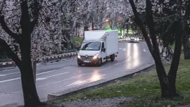 zdysmoiicmo-jpg.webp