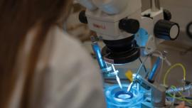 IHN-_-Neuroscience-lab-web.jpg