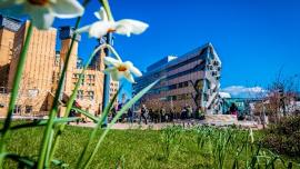 BUILDING_COV-EEC-25-March-2019-20190325_0696-1.jpg