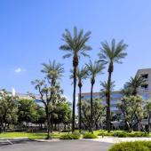 CanyonCorporatePlaza-scaled.jpg