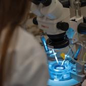 IHN-_-Neuroscience-lab-web.jpg