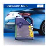 Mercedes_FUCHS.jpg