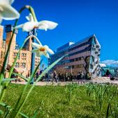 BUILDING_COV-EEC-25-March-2019-20190325_0696-1.jpg