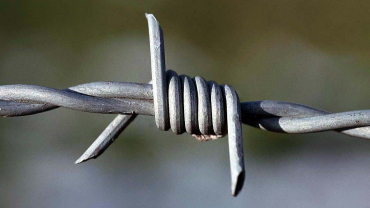 <p>(Photograph: Fir0002).</p>