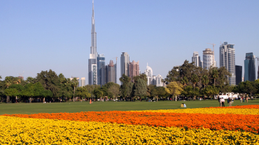 View from Safa Park (Dubai).