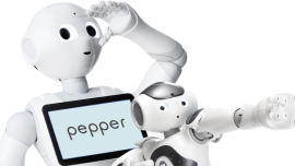 PepperNAOhome_0.png
