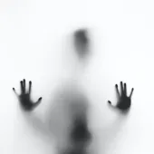 zc0ebdlc8g0-jpg.webp